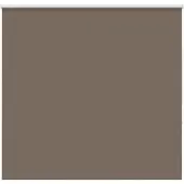 vidaXL Verdunkelungsrollo Kaffeebraun 145x150 cm Stoffbreite 141,6 cm