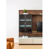 Xl Moebel Gmbh Luxus Wohnwand Schrank Regal Wohnzimmer Vitrine Wohnwände Holz Design