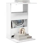 vidaXL Olwonin