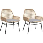 vidaXL Gartenstühle 2 Stk. mit Kissen Braun Poly Rattan
