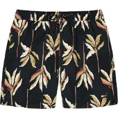 Barts Badehose Herren Fervis Shorts Dark Grey-XXL