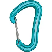Edelrid Nineteen G II Karabiner türkis