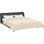 vidaXL Winterbettdecke 200 x 200 cm Winter Mikrofaser (100% Polyester)