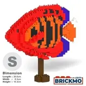 Jekca Flame Angelfish 01 ST19TRF10