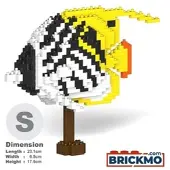 Jekca Threadfin Butterflyfish 01 ST19TRF09