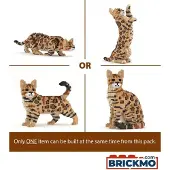 Jekca Bricks Bengal Cat 4-in-1 Pack 01S-M01 ST19BGC01-M01