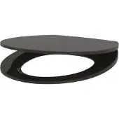 Delabie WC-Sitz Slim BCN schwarz Duroplast mit Deckel mit Abs-Auto.