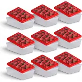Bestlivings Frischhaltedosen für Lebensmittel 1,25 L ( 9er Pack ) Vorratsdose, Aufbewahrungsbox für Obst, Gemüse oder Snacks, Meal Prep Box, Lunchbox