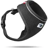 Curli Basic Geschirr Air-Mesh schwarz, Größe: M / Gewicht: 6-9 kg