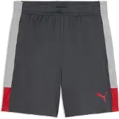 Puma Herren Shorts IndividualLIGA Training Shorts