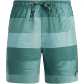 Protest Lomond Badeshorts