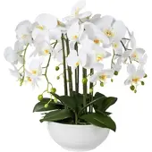 Creativ Green Kunstblume Orchidee, Phalaenopsis, weiß, in Keramik-Schale, Höhe 54 cm