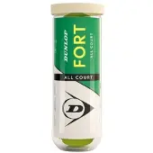 Dunlop Tb Fort All Court Ts Tennisballbox