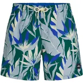 O'Neill Herren Badeshorts PRINT 16'' SWIMSHORTS