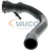 VAICO Kühlerschlauch Wasserschlauch für AUDI A4 Avant (8ED, B7) V10-4284