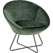 Ebuy24 Cenna Sessel tannengrün, Metall schwarz.