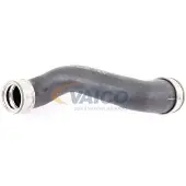 VAICO Ladeluftschlauch VW ALHAMBRA, SHARAN