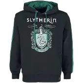 Heroes Inc Official Harry Potter Property Of Slytherin Kapuzenpullover