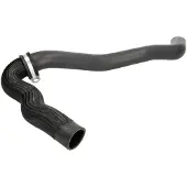 SASIC Kühlerschlauch Wasserschlauch für RENAULT LAGUNA III Grandtour (KT0/1) 3404123