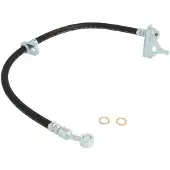 Delphi Bremsschlauch LH7281, Links