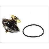 WAHLER Thermostat, Kühlmittel 4116.87D1