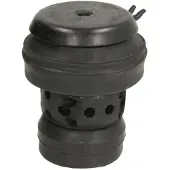 Delphi Motorlager Vorne für VW GOLF III (1H1) TEM058