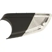 MAGNETI MARELLI Blinkleuchte 351990001360