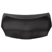 BLIC Motorhaube 6803-00-8199280P