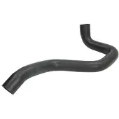 THERMOTEC Kühlerschlauch Wasserschlauch für FORD FOCUS (DAW, DBW) DCG004TT