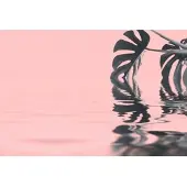 A.S. Création Fototapete "ARTist Monstera Leaf Water", grau (grau, rosa), B:4m L:2,7m, Vlies, Tapeten, Fototapete, Vlies, Wand, Schräge