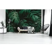 A.S. Création Vliestapete "Fototapete Monstera Blätter Dunkelgrün Tropisch" matt strukturiert