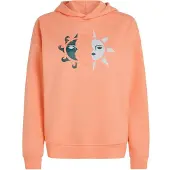 O'Neill Herren Kapuzensweat SUMMER MUSTHAVE HOODIE