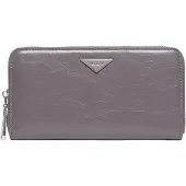 Replay Geldbörse Zip Around Wallet Granite Gray grau