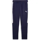 Puma Herren Sporthose teamEVOSTRIPE Pants