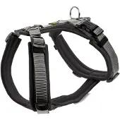 Hunter Maldon, Hund, Halftergeschirr, XS, Grau, Orange, Nylon, Einfarbig