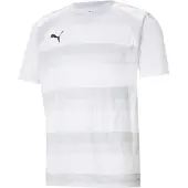 Puma Teamvision Trikot Kurzarm Herren - Weiß
