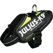 JULIUS K-9 Idc Baby Hundegeschirr