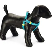 Beeztees Uni - Hundegeschirr - Nylon - Hellblau - 35-60 cm x 15 mm