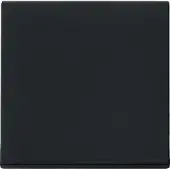 Gira 0296005 Wippe System 55 Schwarz matt (lackiert)
