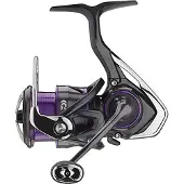 Daiwa Rolle Prorex V LT Modellgröße 2500-XH