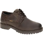 Camel active BUST Herrenschuhe - Halbschuhe braun NEU