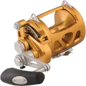 Penn International Vi Sw Trollingrolle Golden 30 Golden 30