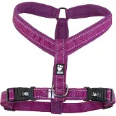 Hurtta Casual Y-Geschirr, violett, 70cm