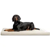 Tierlando CARLOS Ortho-Medic Orthopädische Hundematte Velours-Kunstleder VISCO Hundebett - Größe: 120x90cm | Farbe: 05 Creme