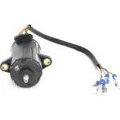 Bosch Sensor, Fahrpedalstellung 0281002733 für FIAT VM IVECO