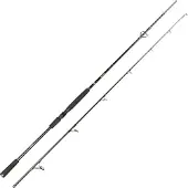 Spro Big Lure Spin 2,40m 60-180g - Spinnrute