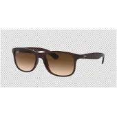 Ray-Ban Lunettes De Soleil Andy 4202 607313 Dégradé Brun Brun Mat