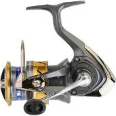 Daiwa Laguna Lt 20 Spinnrolle Grau 5000 C XH Grau 5000 C XH
