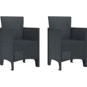 vidaXL Möbel Gartenstühle 2 Stück Anthrazit Poly Rattan - Gartenstühle 847448