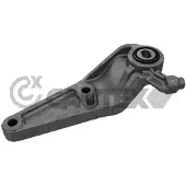 CAUTEX Lagerung Motor 755963 für Opel Hinten